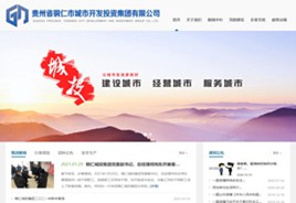 普定城市开发投资集团有限公司